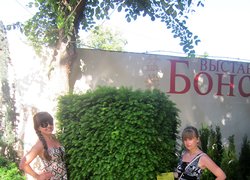 Виставковий центр продажу декоративного садивного матеріалу ,,ВАШ САД,, на Французькому бульварі (м. Одеса)
